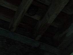 acastle 174960.jpg
